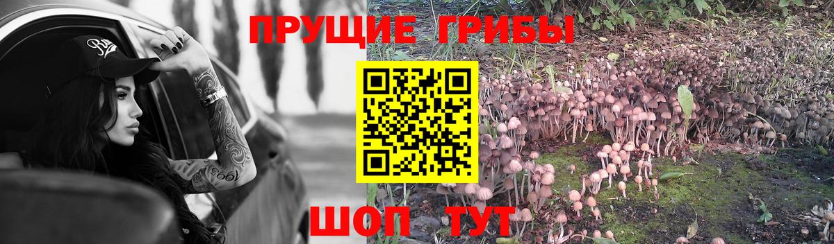 Псилоцибиновые грибы мухоморы Нефтеюганск